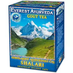 SHALARI nr28 Dna oraz obrzęki stawów 100g - Everest Ayurveda